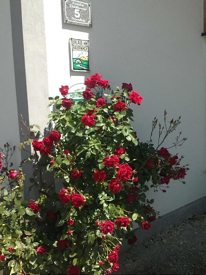 Willa Schnatterhof Lambrechten Zewnętrze zdjęcie